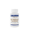 Rx Vitamins Rx Renal capsules pour chien - 120 capsules image 1