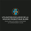 Calmi Soin - Pour Chiens image 5