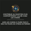 Calmi Soin - Pour Chiens image 2