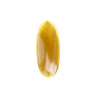 OGRAX Derm 10 image 3
