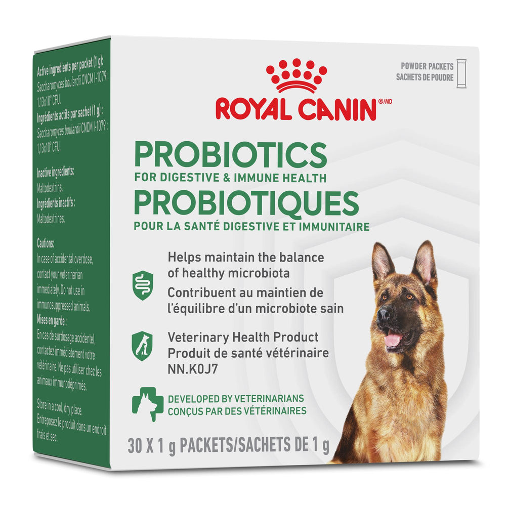 Probiotiques pour la santé digestive et immunitaire - Pour Chiens