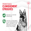 Probiotiques pour la santé digestive et immunitaire - Pour Chiens image 2