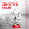 Probiotiques pour la santé digestive et immunitaire - Pour Chiens image 6