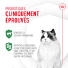 Probiotiques pour la santé digestive et immunitaire - Pour Chats image 2