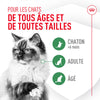 Probiotiques pour la santé digestive et immunitaire - Pour Chats image 7