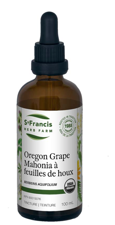 Holly-leaved Mahonia