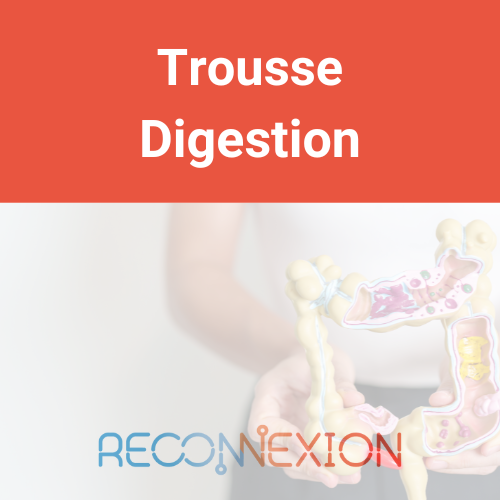 Trousse Digestion - Reconnexion