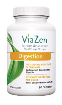Digestion (with digestive enzymes and ginger)
