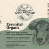 Essential Organs image 3