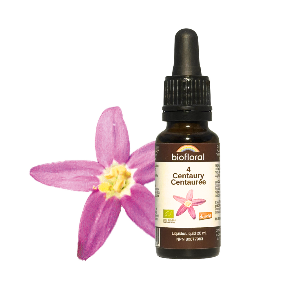 Centaury