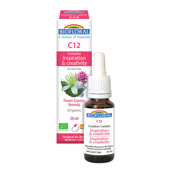 Complex 12 - Inspiration, creativity