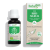 Ribes Nigrum - blackcurrant - G34 image 1