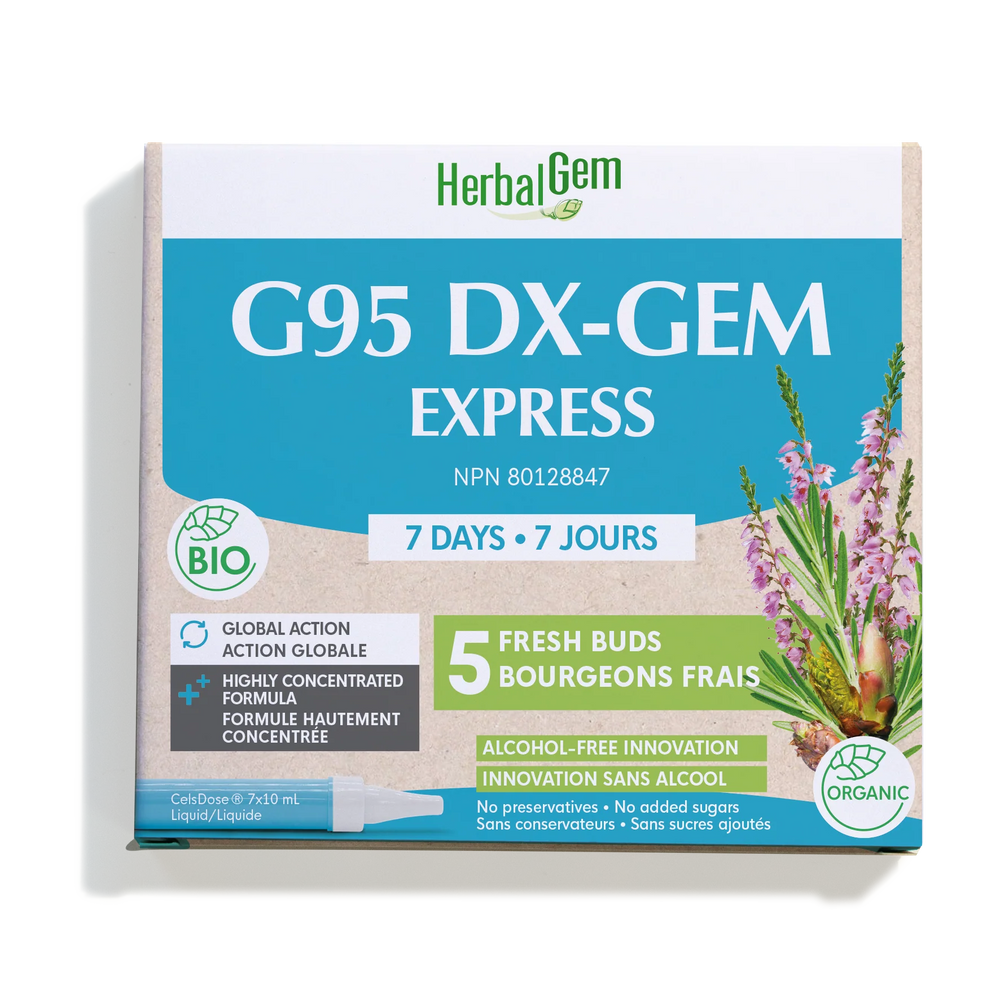 G95 DX-GEM EXPRESS - 7 jours