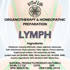Lymph image 1