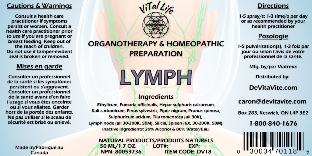 Lymph