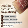 Reishi image 4