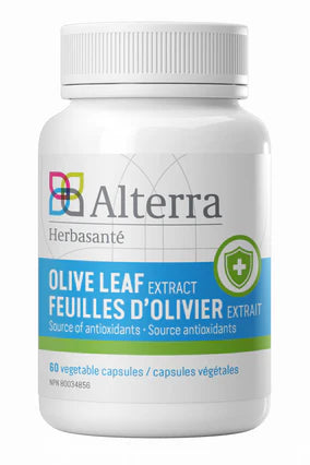 Olive Leaf