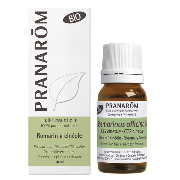 Romarin cinéole