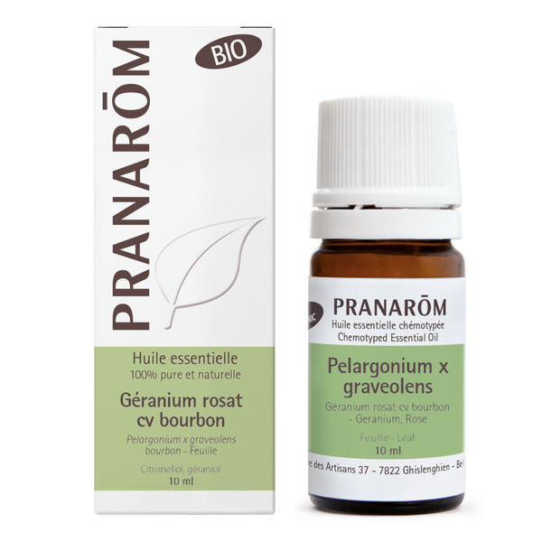 Rose geranium cv bourbon - organic leaf