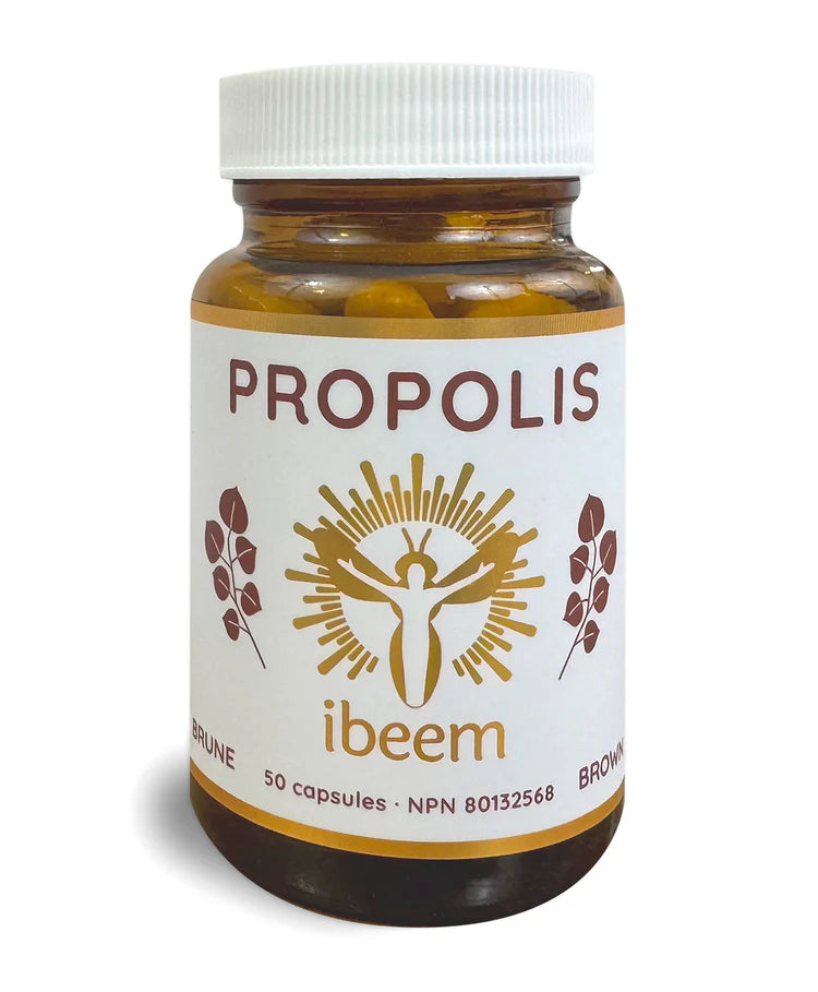 Brown poplar propolis capsules