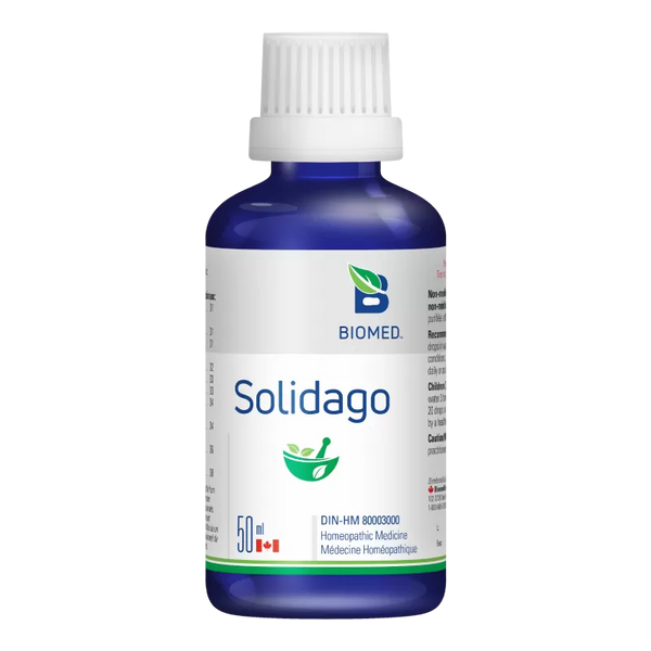 Solidago
