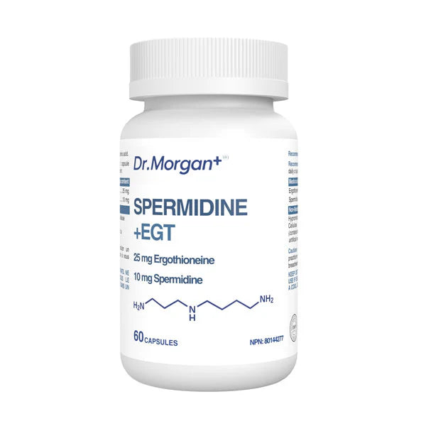 Spermidine + EGT