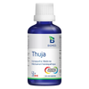 Thuja image 1
