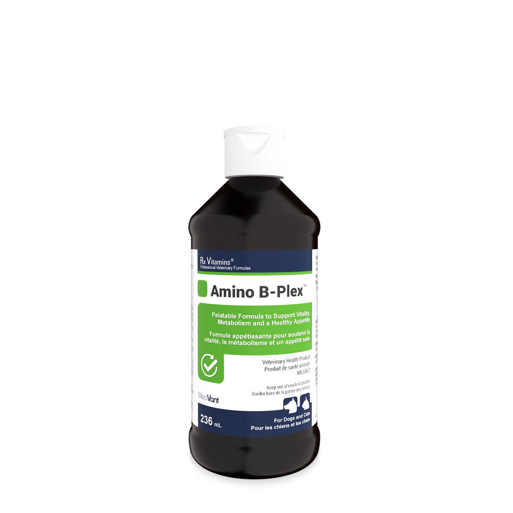 Rx Vitamins Amino B-Plex liquide