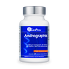 Andrographis image 1