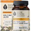 Living Holy Basil image 1