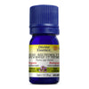 Red Thyme - Organic Thymol. image 1