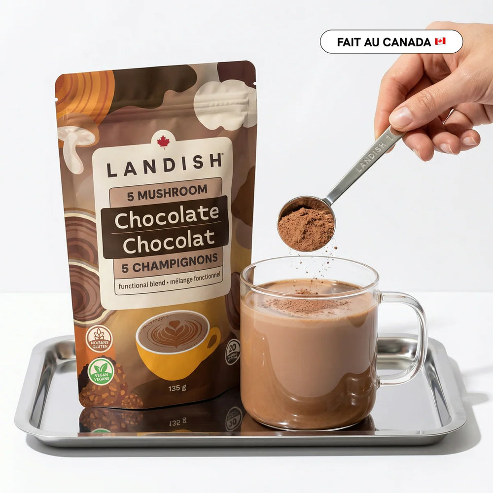 Hot Chocolate with 5 Mushrooms