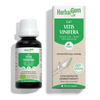Vitis vinifera - G47 - vine image 1