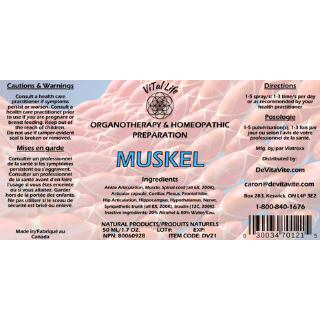 MuSkel