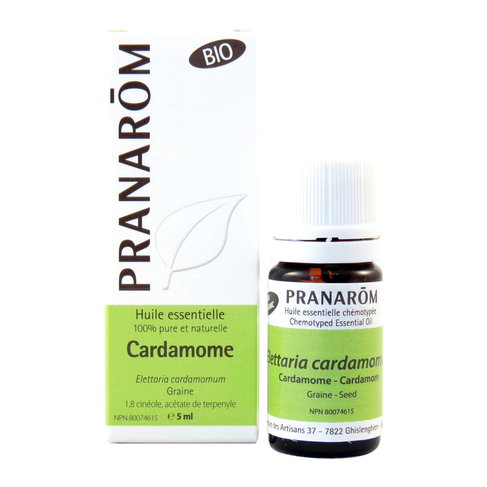 Cardamom
