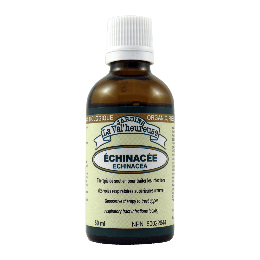 Echinacea