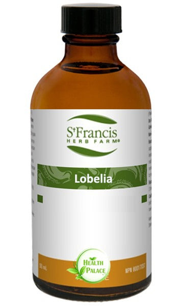 Lobélie