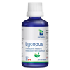 Lycopus image 1