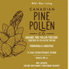 Organic Pine Pollen Tincture - Dual Extract image 2