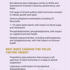 Organic Pine Pollen Tincture - Dual Extract image 3