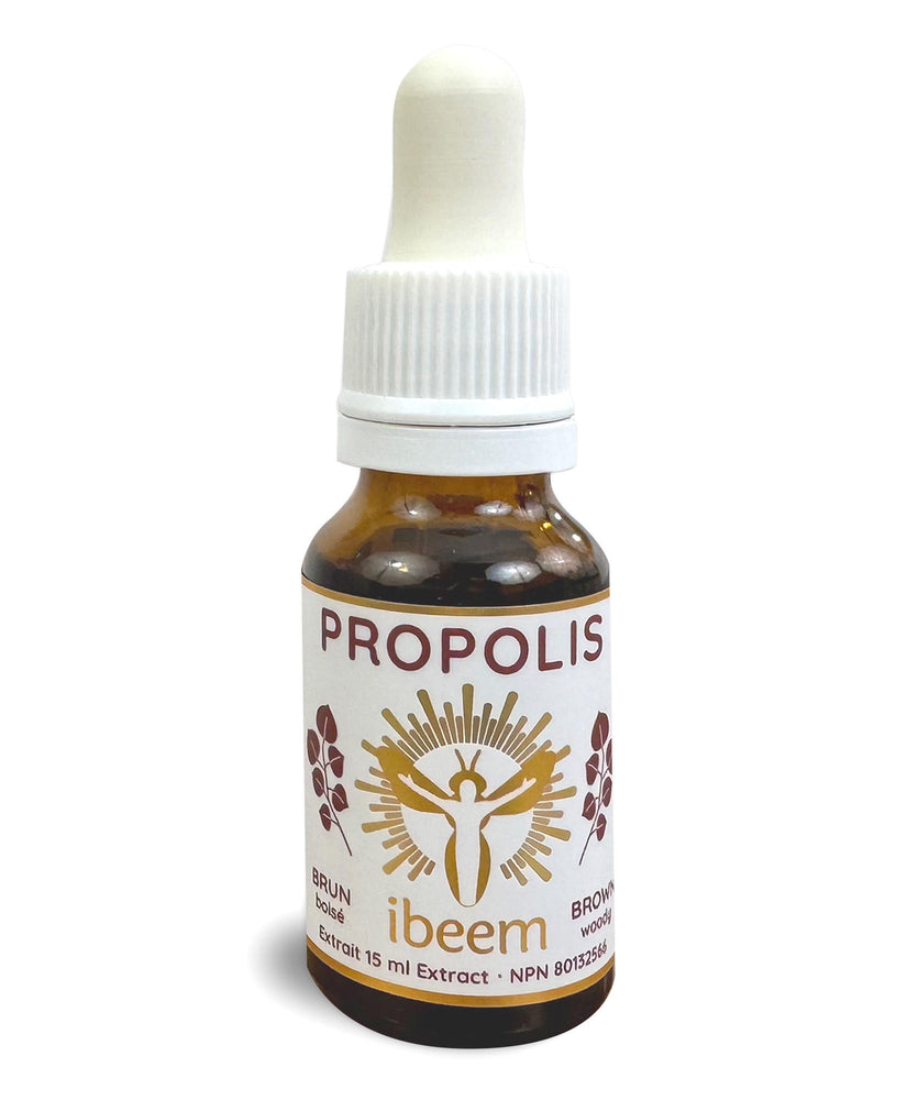 Brown poplar propolis in drops