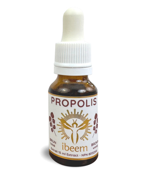 Brown poplar propolis in drops