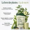 Protéines de 5 plantes image 3