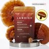 Reishi image 1