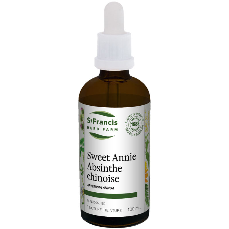 Chinese wormwood (artemisia annua)