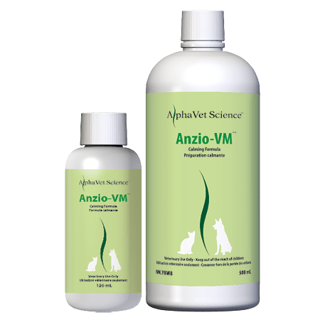 SOLDE - Anzio-VM
