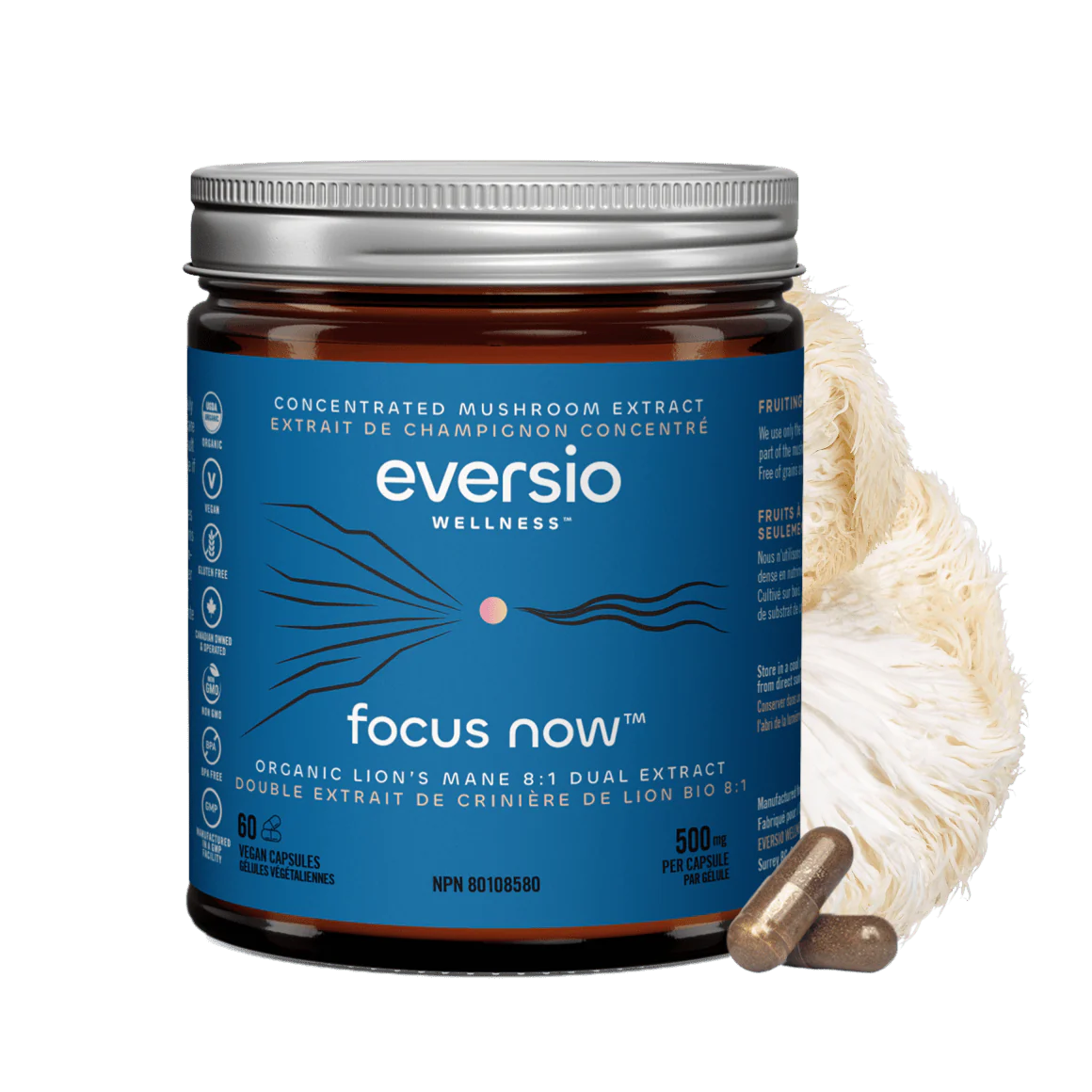 FOCUS Now